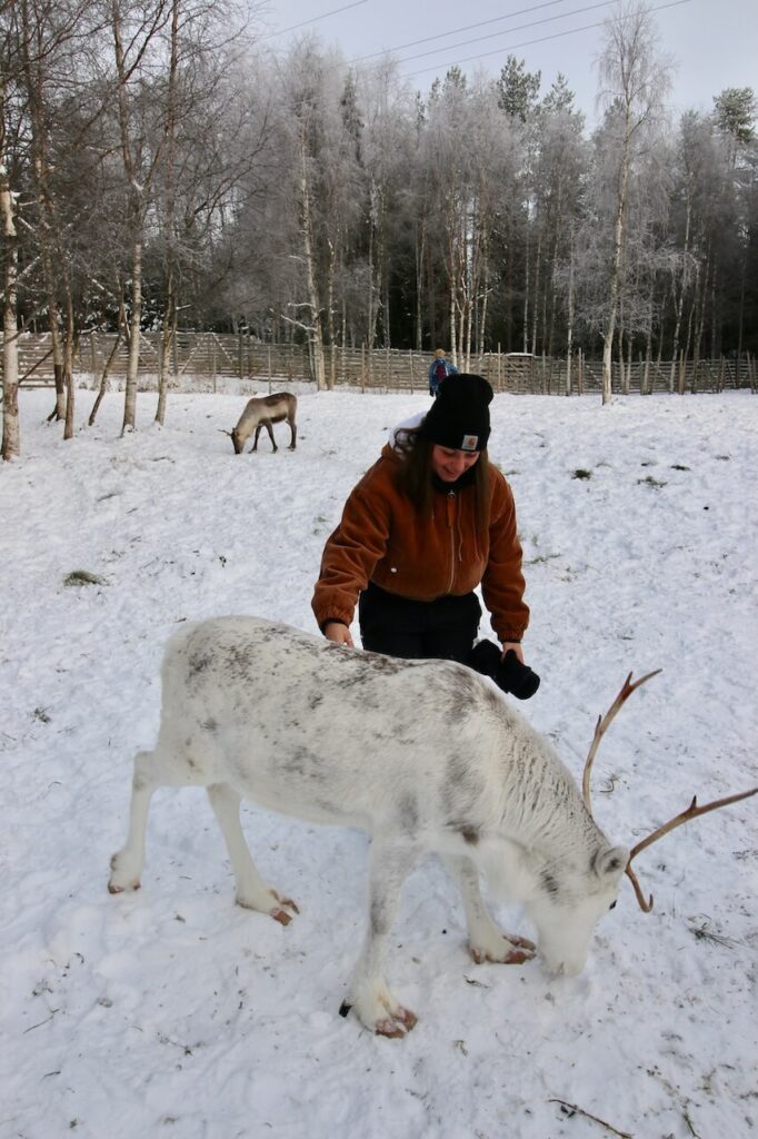 Sortie Laponie avec les rennes Sourire Ensemble