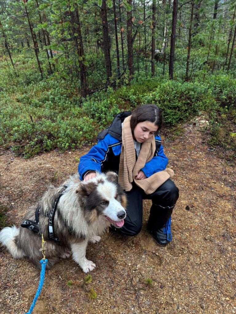 Sourire Ensemble séjour en Laponie randonnée chien traineau