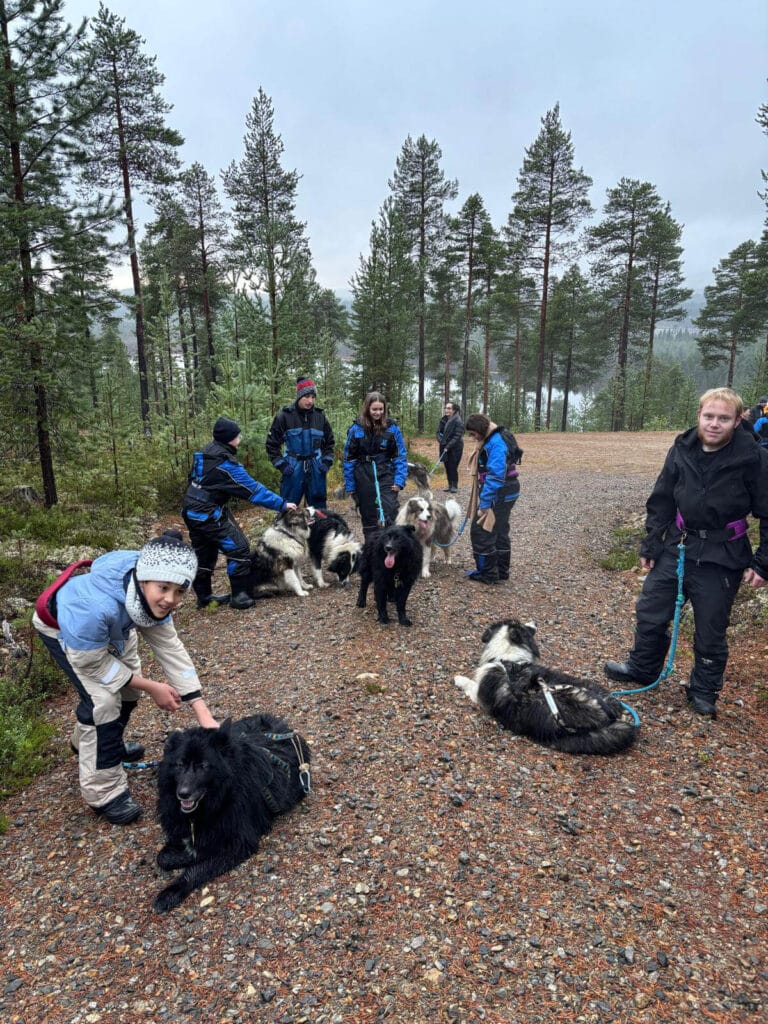 Sourire Ensemble séjour en Laponie chien traineau