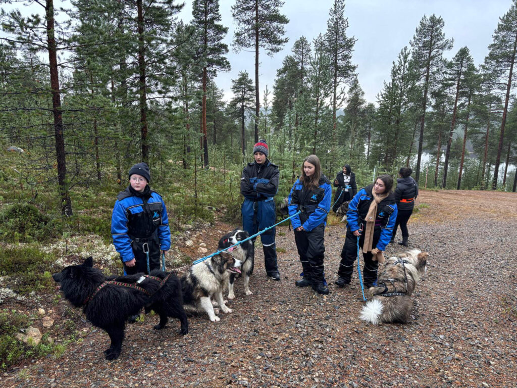 Sourire Ensemble séjour en Laponie randonnée chiens